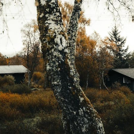 Ancarraig Lodges Drumnadrochit Buitenkant foto