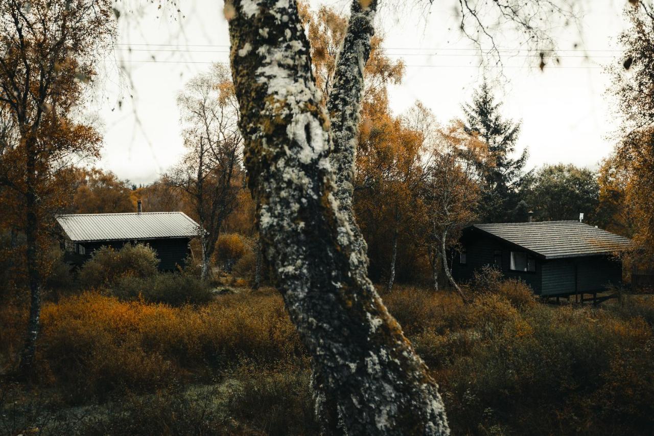 Ancarraig Lodges Drumnadrochit Buitenkant foto